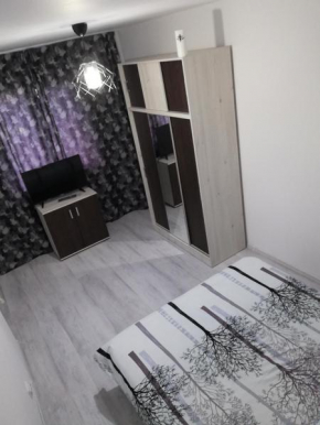 Apartament Brezoi